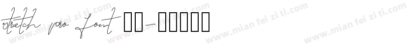 stretch pro font字体字体转换
